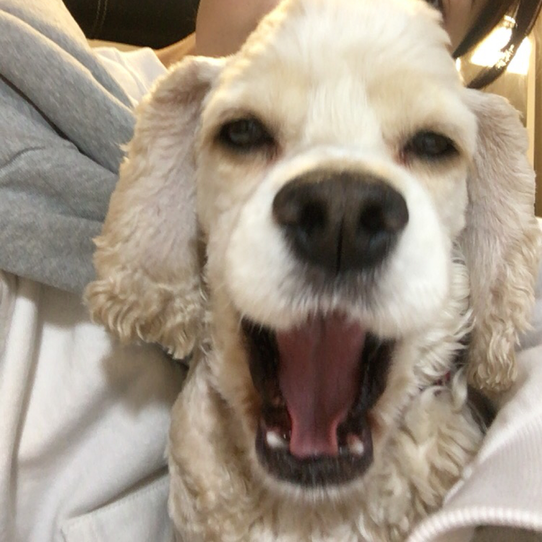 리뷰어 프로필