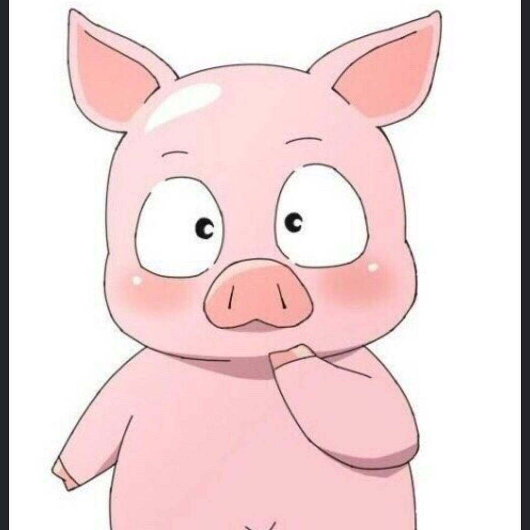 토밥이 프로필