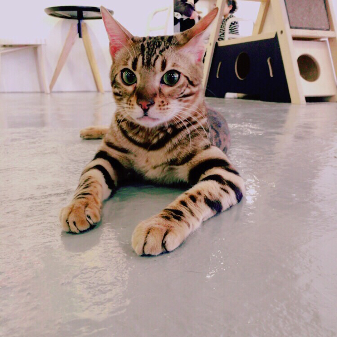 이소90 프로필
