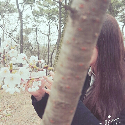 꽃잎세기 프로필