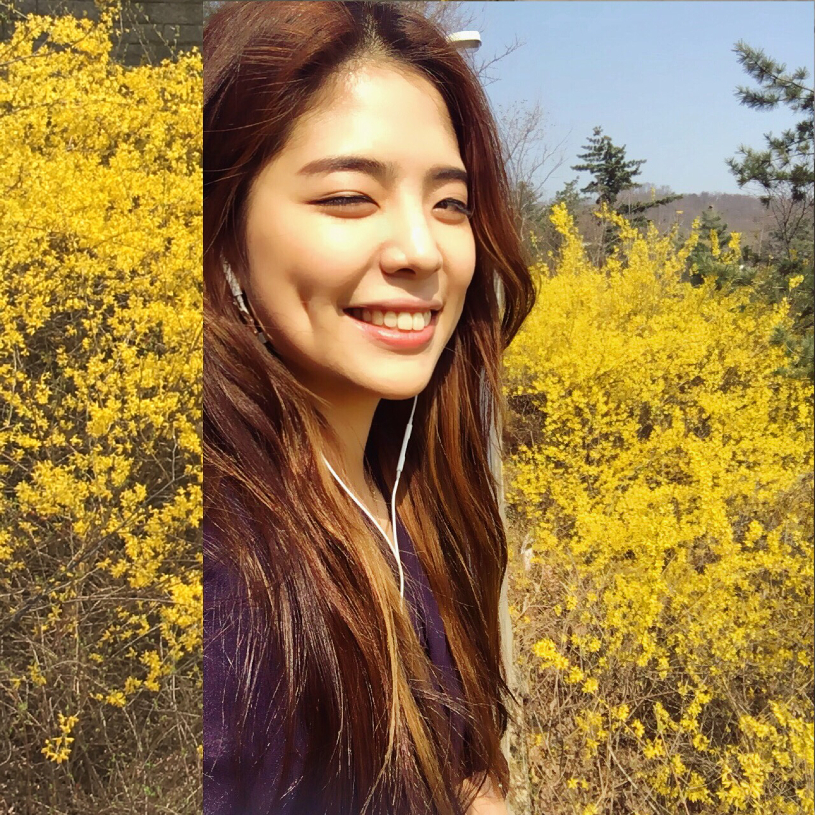 메리매리 프로필