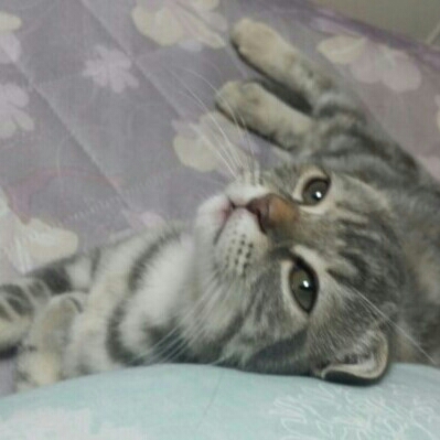 리뷰어 프로필