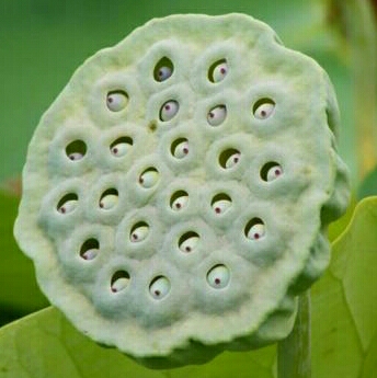 리뷰어 프로필