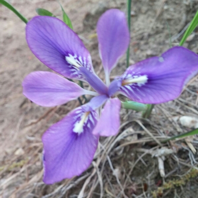 뷰티kang07 프로필