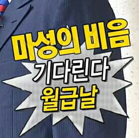 탱순 프로필