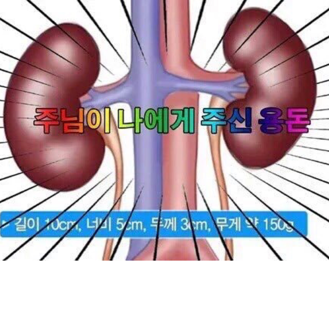 유쥬늬 프로필