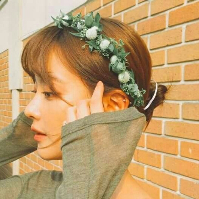 다도니 프로필