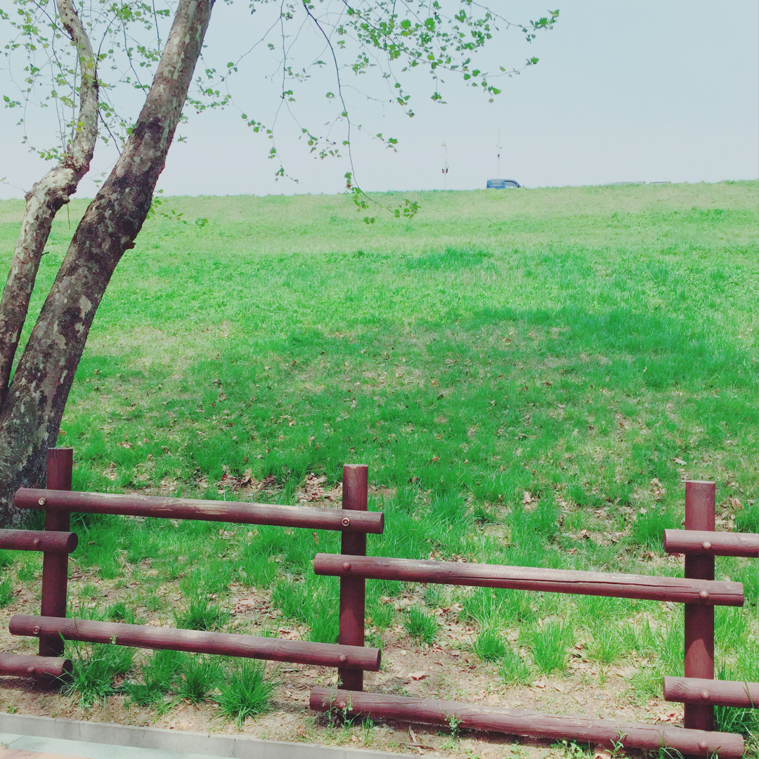 일리e 프로필