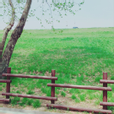 일리e