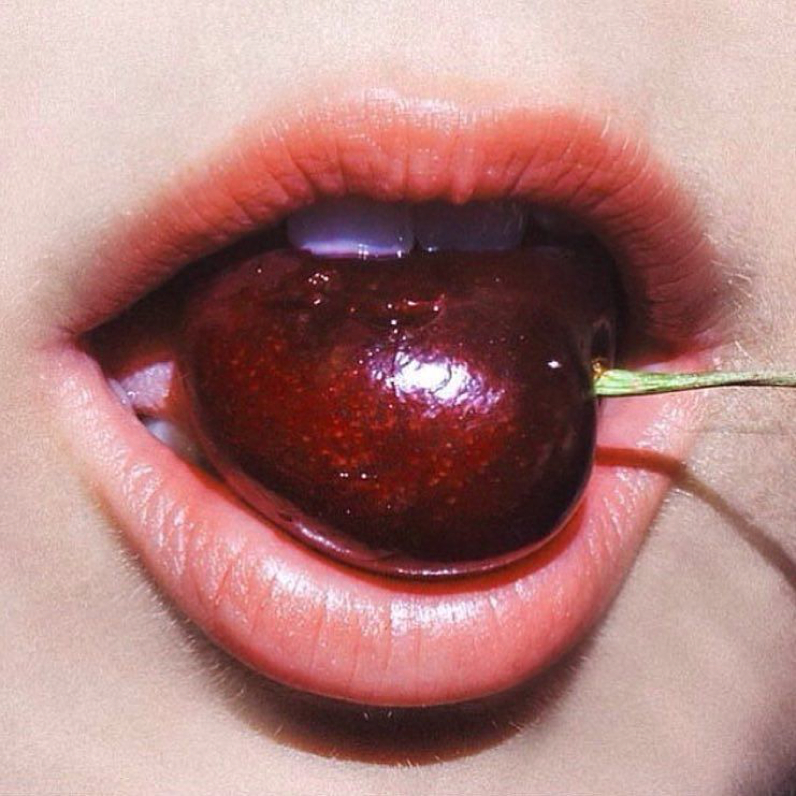 꺙썅 프로필