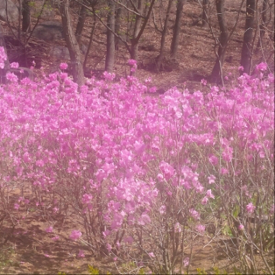 당근닷컴 프로필