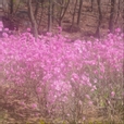 당근닷컴