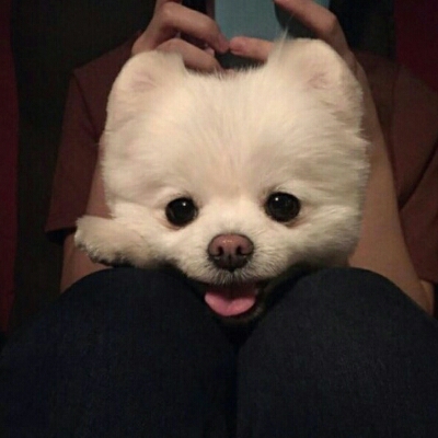 에일 프로필
