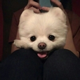 에일