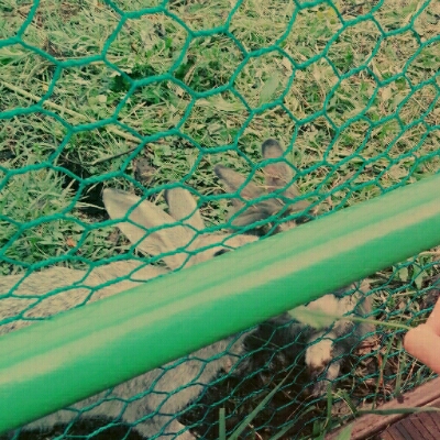 BlueDream 프로필