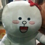 핑썬 프로필