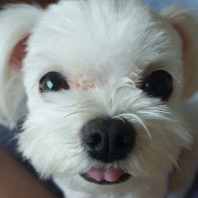 귀염뚱이 프로필