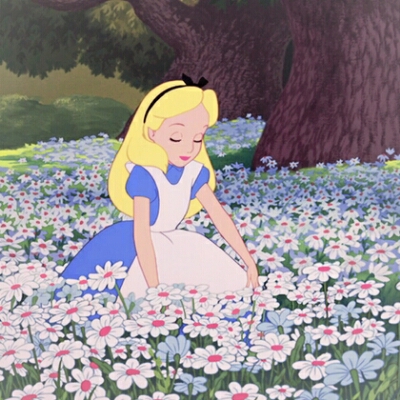 밀키요 프로필