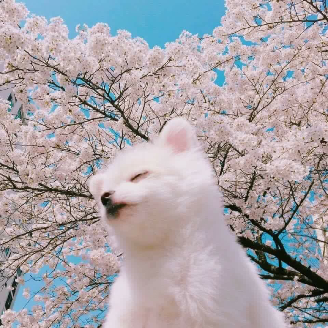 부르부릉 프로필