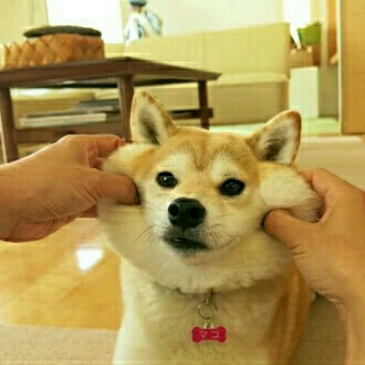 희네 프로필