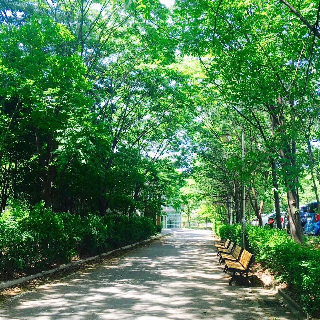 댇댇대댇댇 프로필