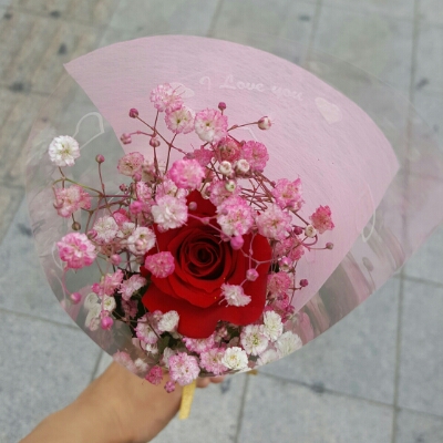 졔요미 프로필