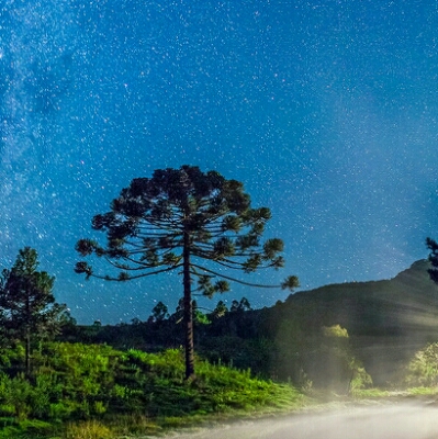 리뷰어 프로필