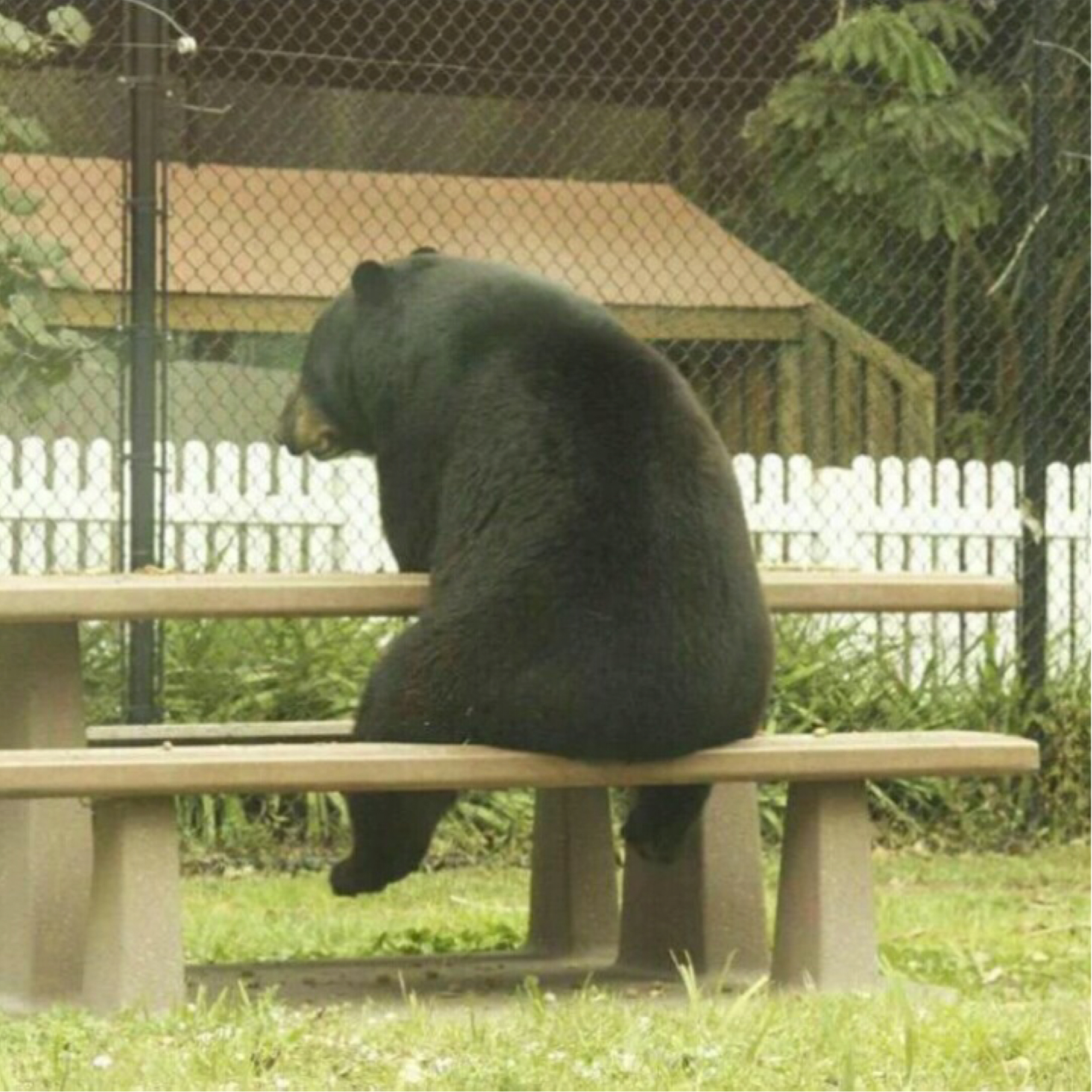 크림케이크 프로필