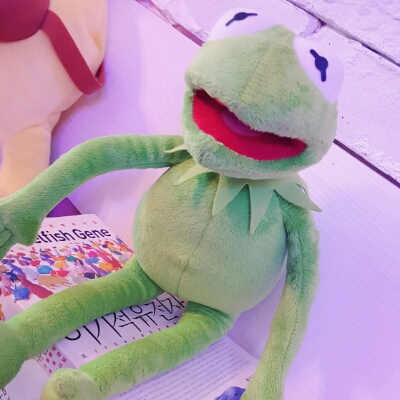 복치복치상 프로필