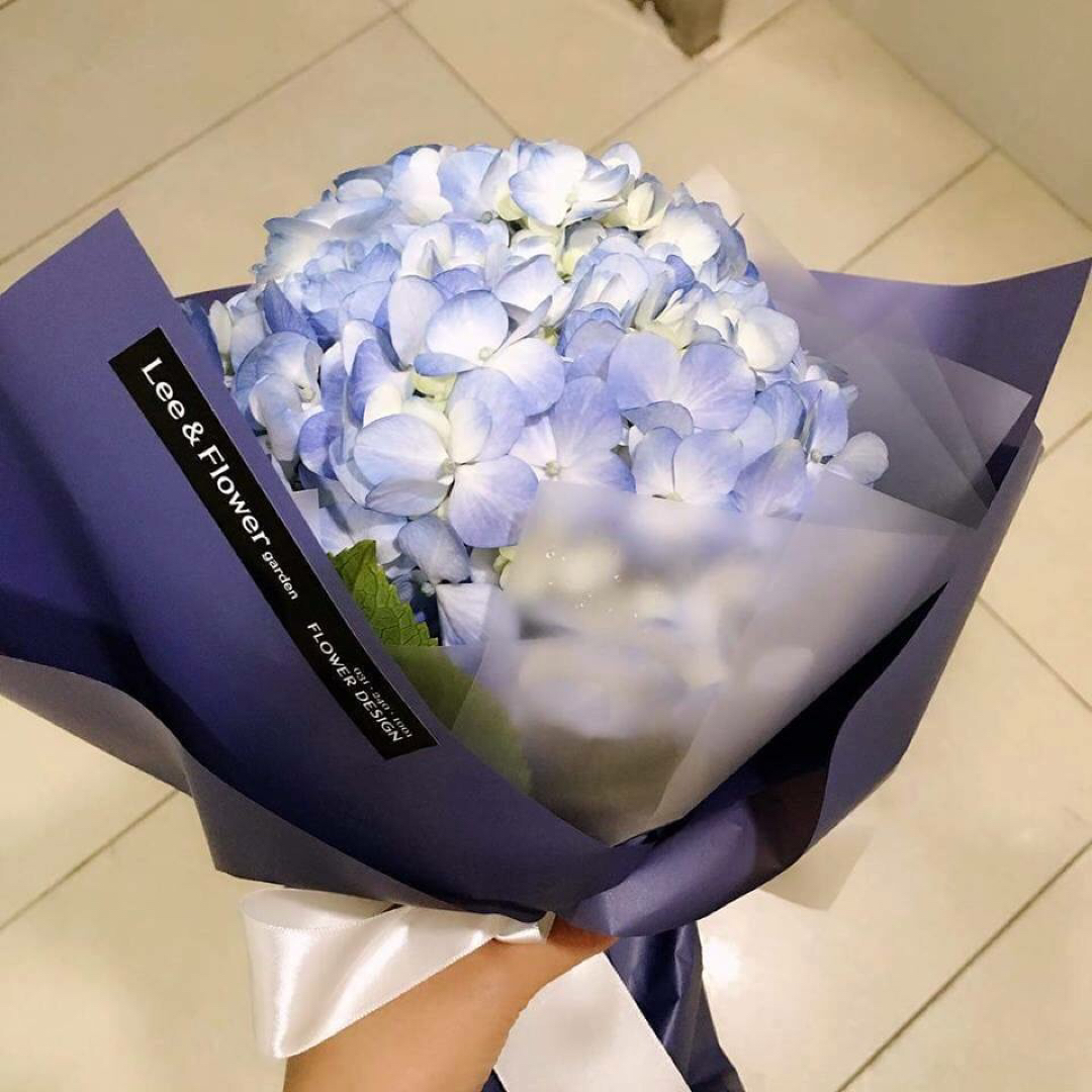 특별한색깔 프로필