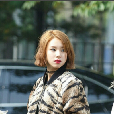 밥스b 프로필