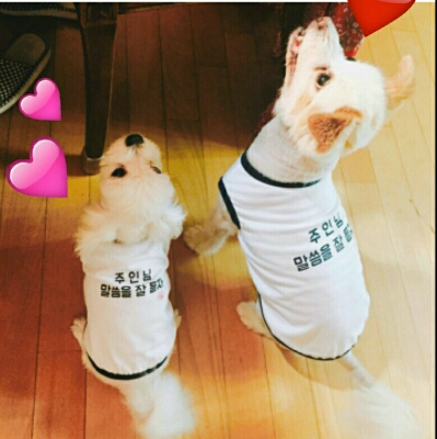 리뷰어 프로필
