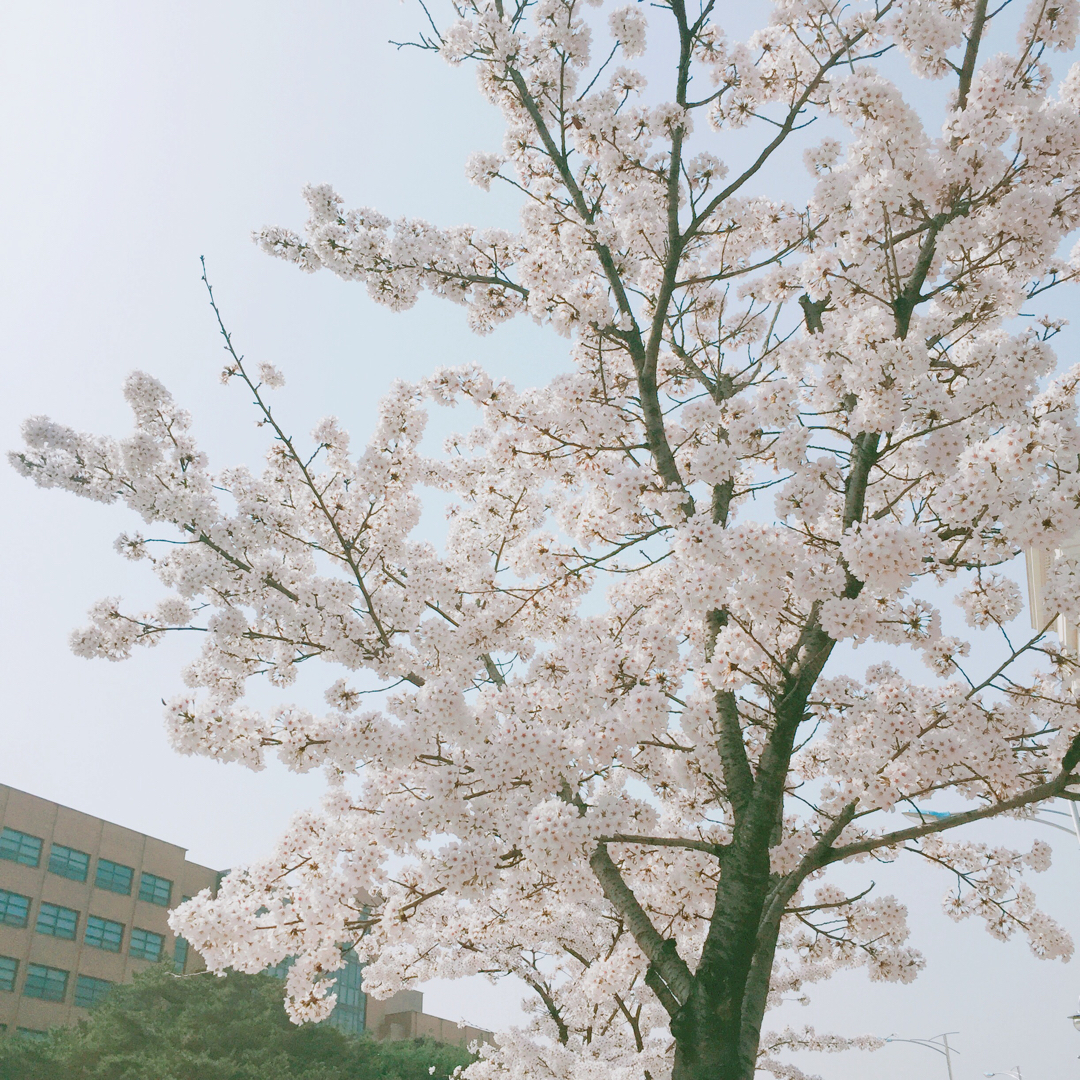 우연한행운 프로필