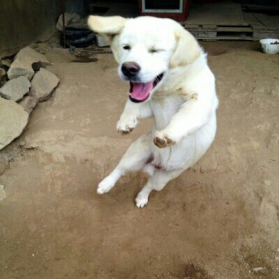 옥눙 프로필