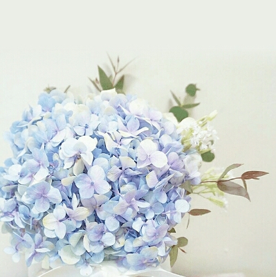 리뷰어 프로필