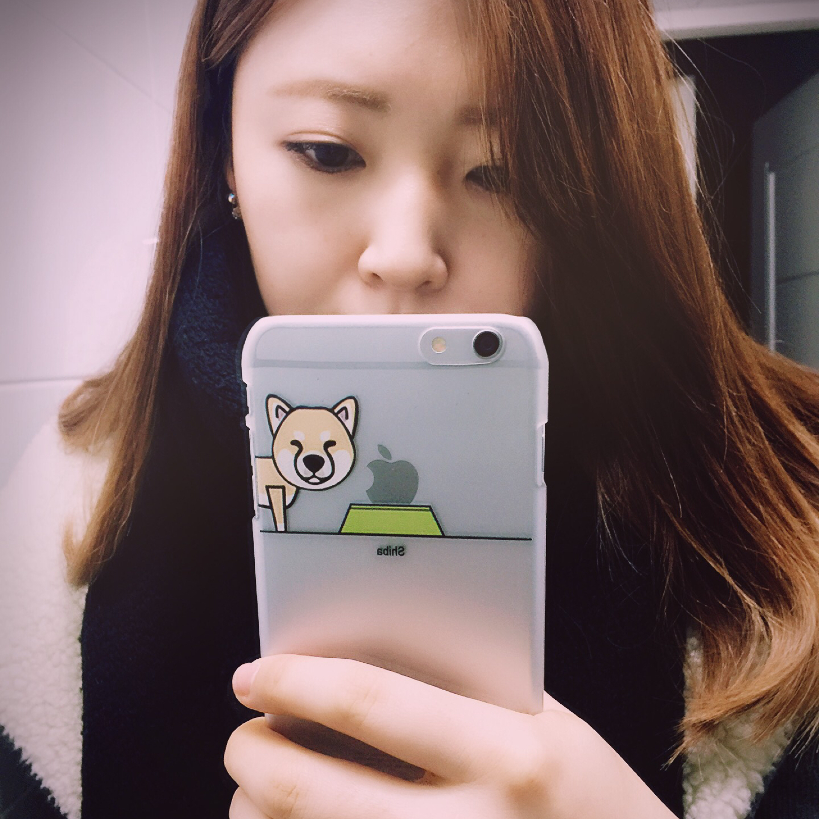 꼬올토옹 프로필