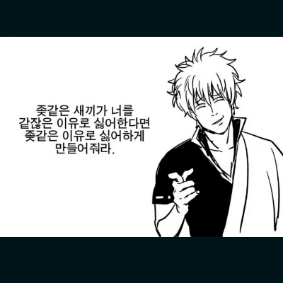 동야호 프로필