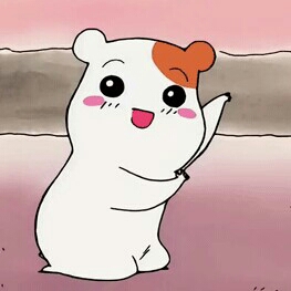 피부어캄 프로필