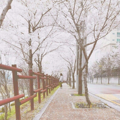 뷰티영 프로필