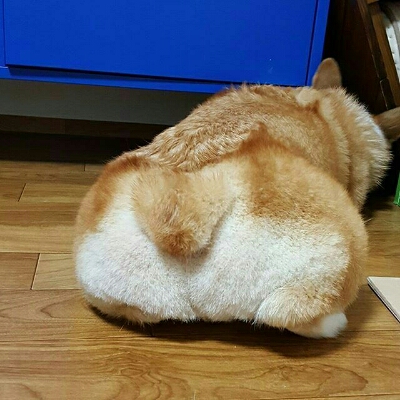 jjaojjao 프로필