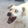 콩ee