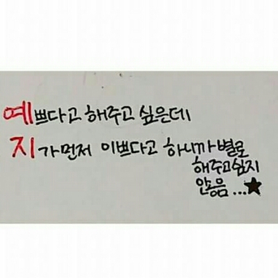 searin 프로필