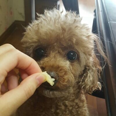 보리큰언니 프로필