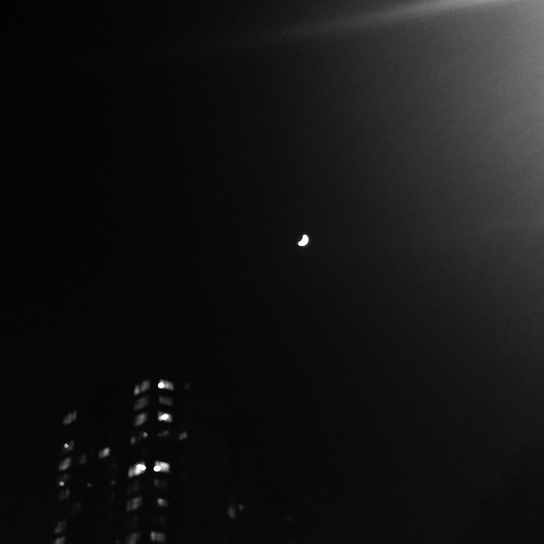 꿀쨩 프로필