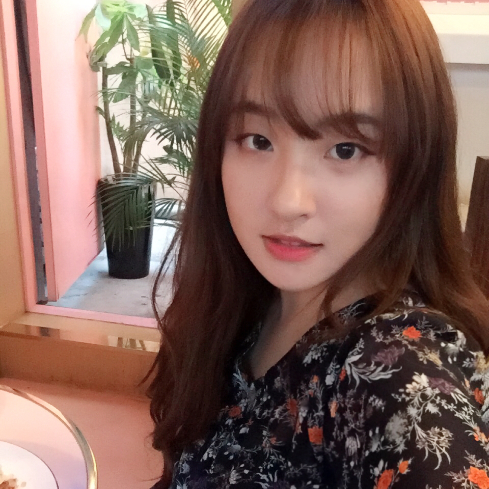 송미니 프로필