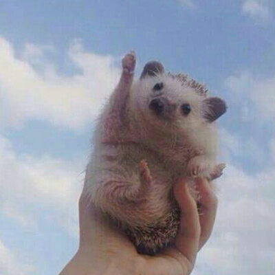 율랴 프로필