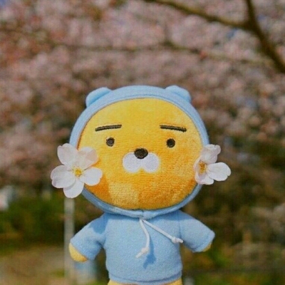카르네 프로필