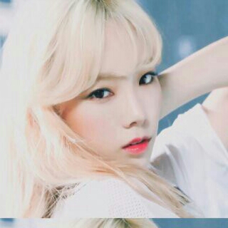 피부고쟈 프로필
