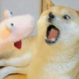 난나나콘 프로필