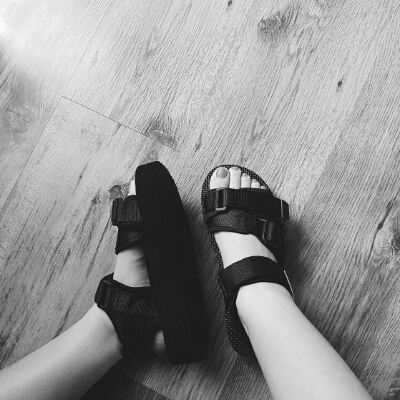 fhxhxh 프로필